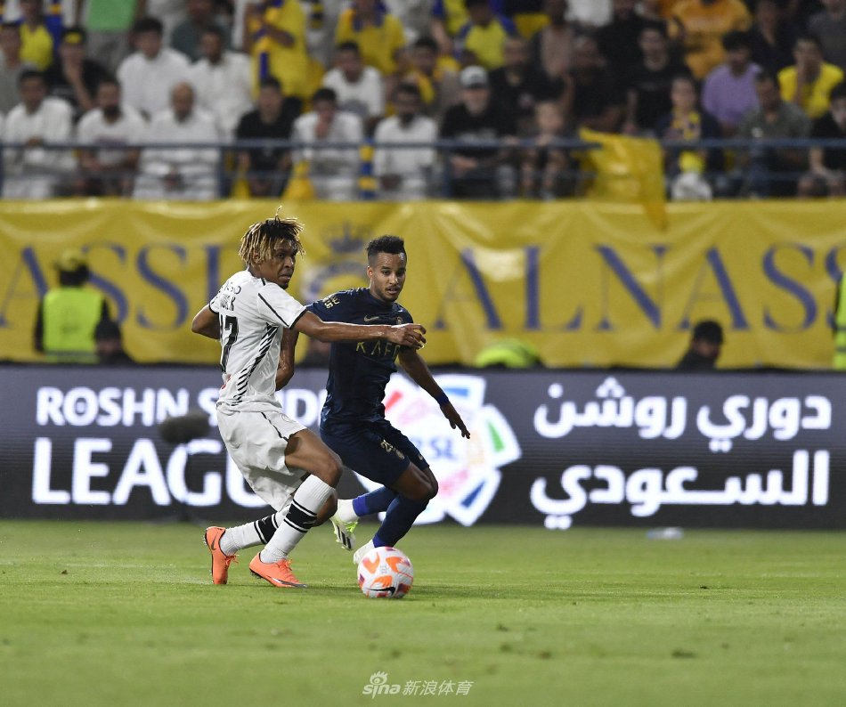 普遍指出这 普遍指出这